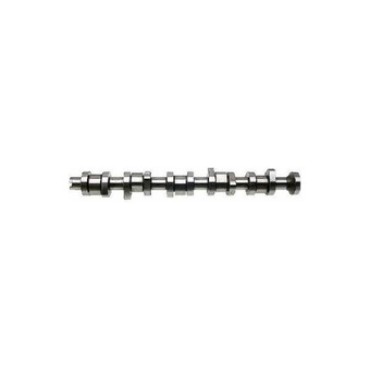 Clıo II Kangoo I EKSANTRİK MİLİ  Estaş 45048 oem: 7700273920