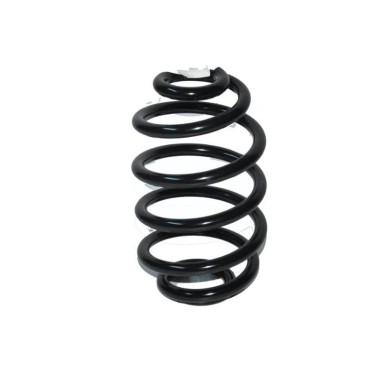 Clıo 98-08 ARKA  HELEZON YAYI 8200844168