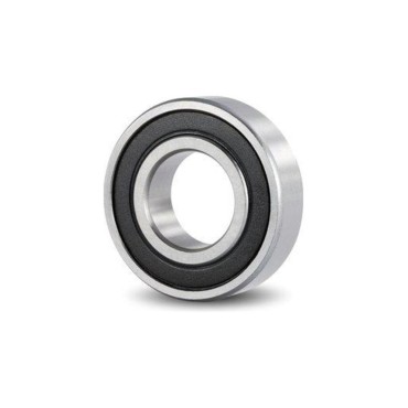 Bilya ORS 6007 2RS G100 C3