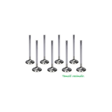 SLX Tipo Uno Tempra Subap Takımı İoto 50101-12601OEM: 7617500